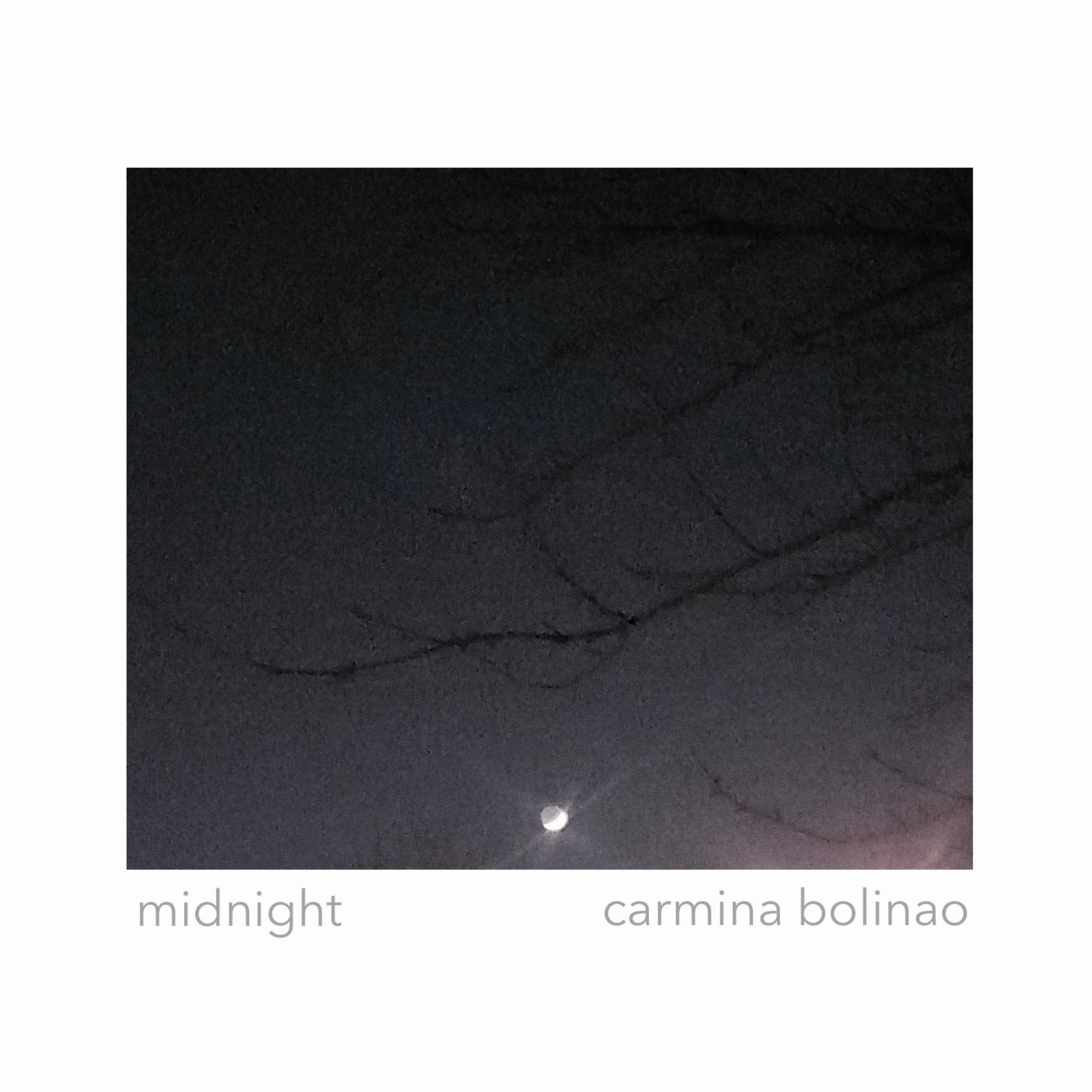 Album art for "Midnight." Photo of the silhouette of a branch at night with the moon in the background.