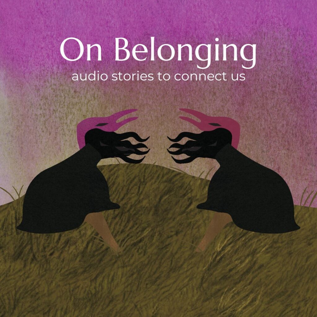 "On Belonging" show art