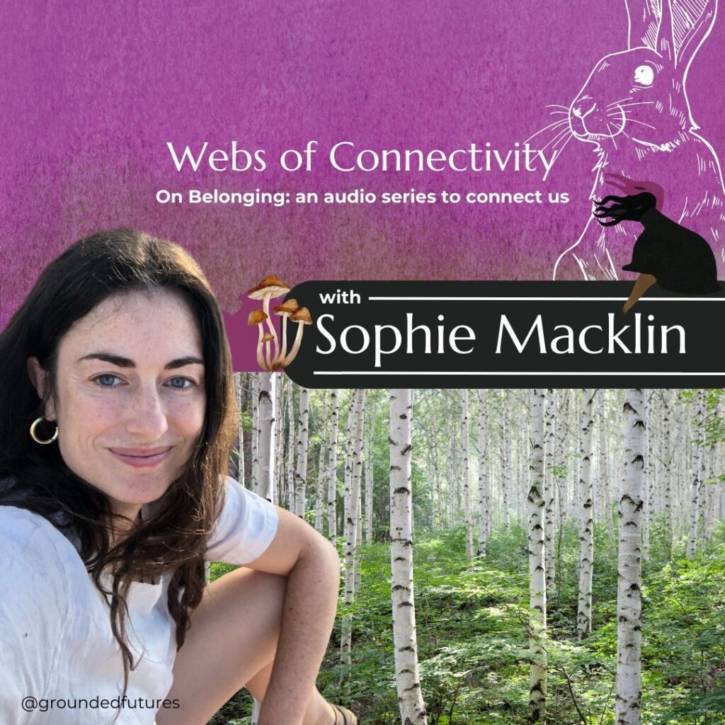 Webs of Connectivity with Sophie Macklin